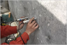 �����g����