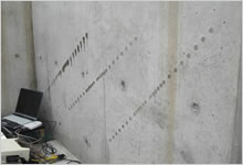 �����g����