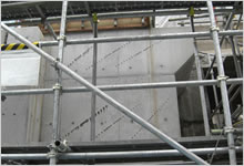 �����g����